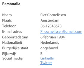Cv Maken Bijbaan Nl Cv Maken Bijbaan Nl
